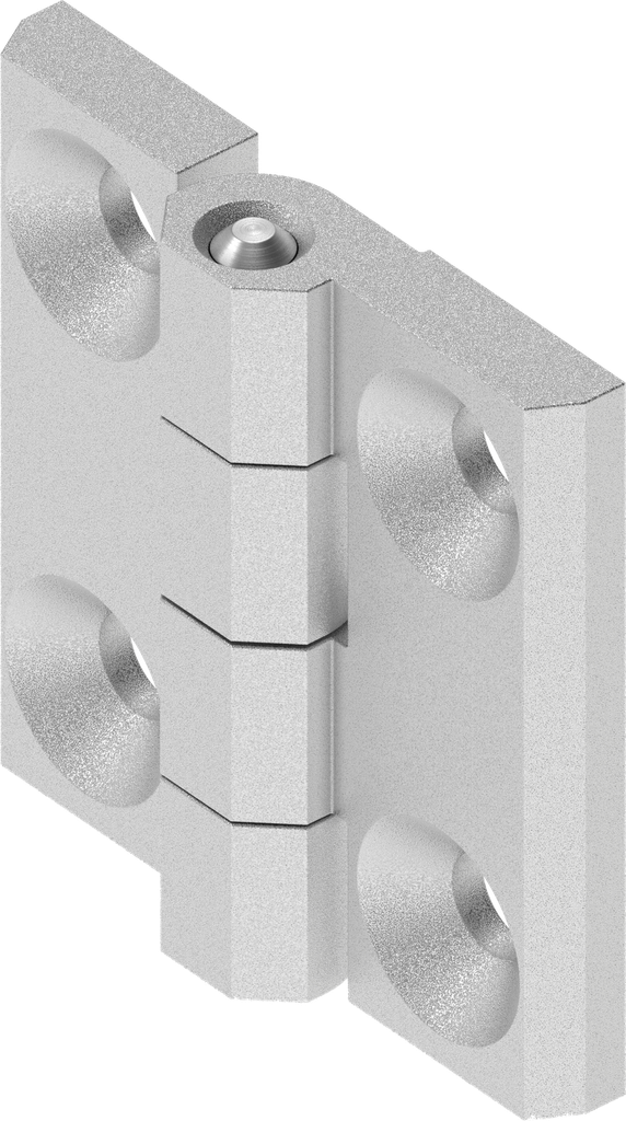 180° Scharnier, RVS 316 gebeitst en gepasiveerd