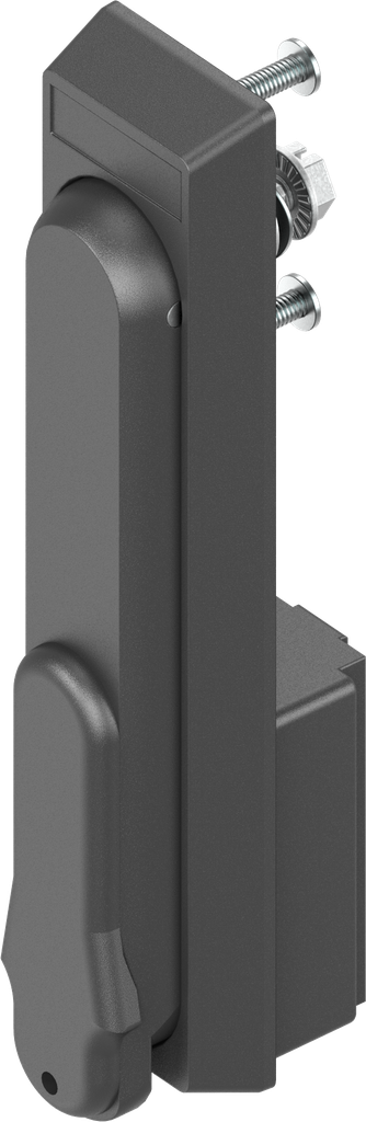 Schwenkgriff