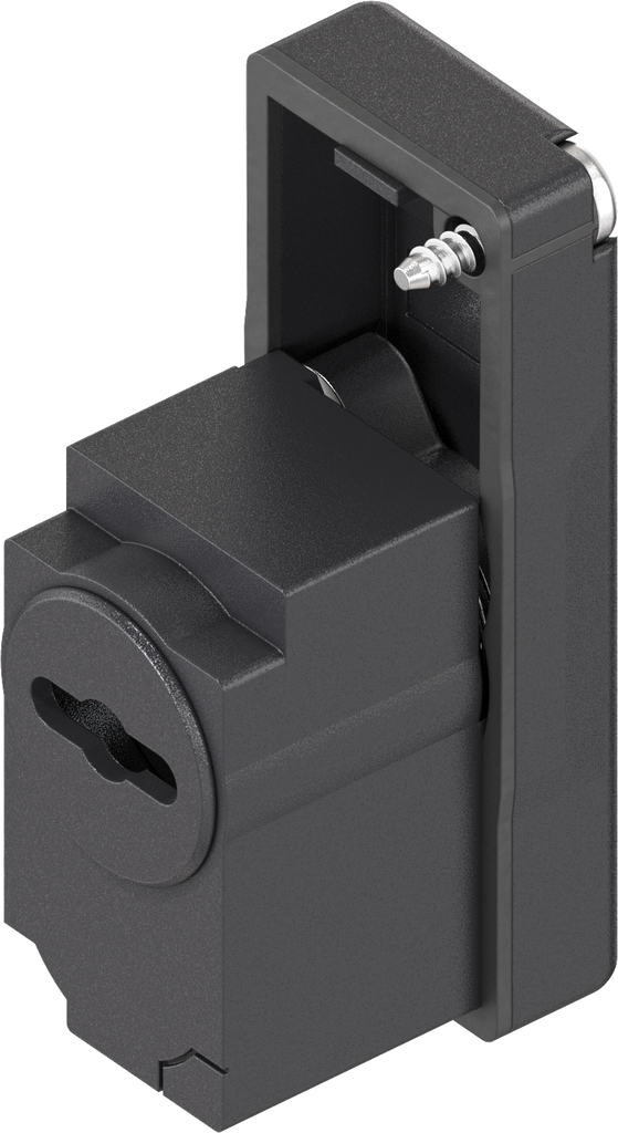 Modulo con inserto FIAT, poliammide GF nero