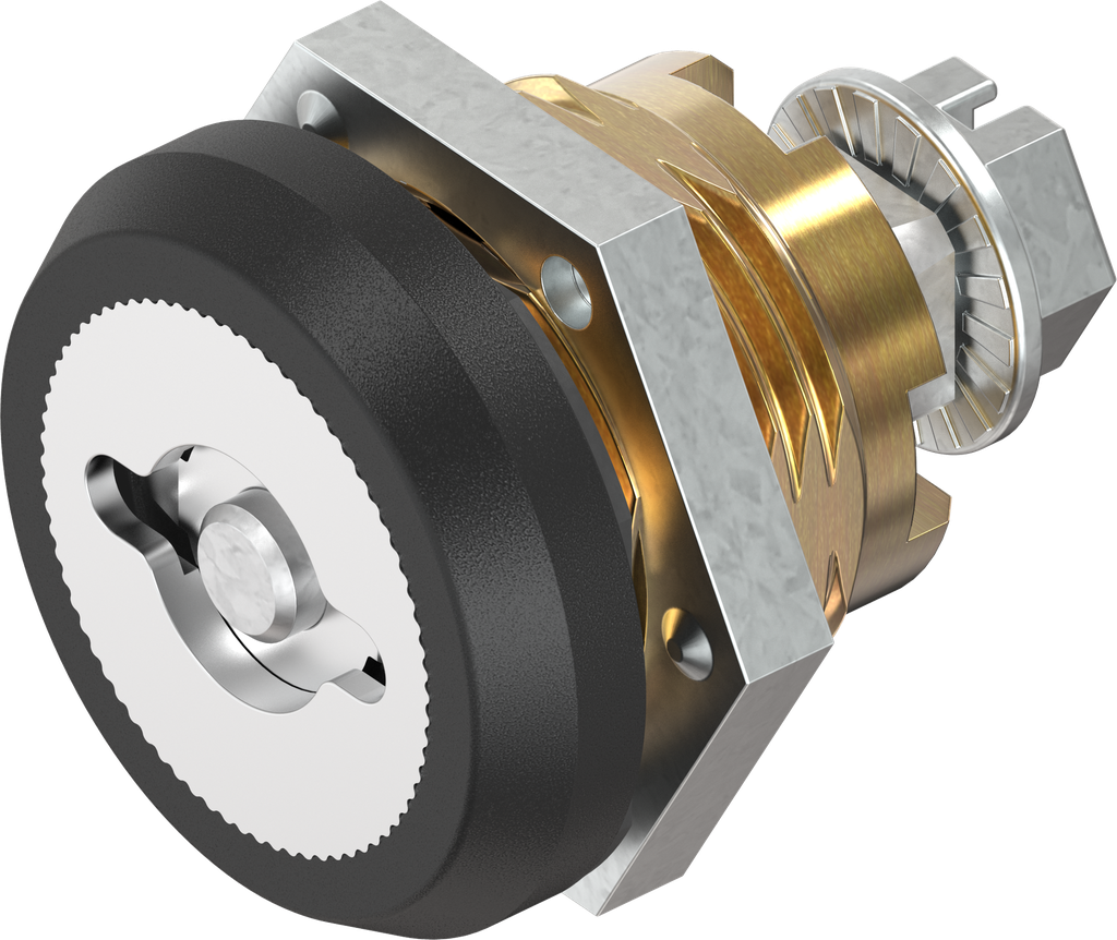Cuarto de vuelta de seguridad doble barra 5, versión izquierda con tapa antipolvo, latón y zamak recubierto de polvo negro