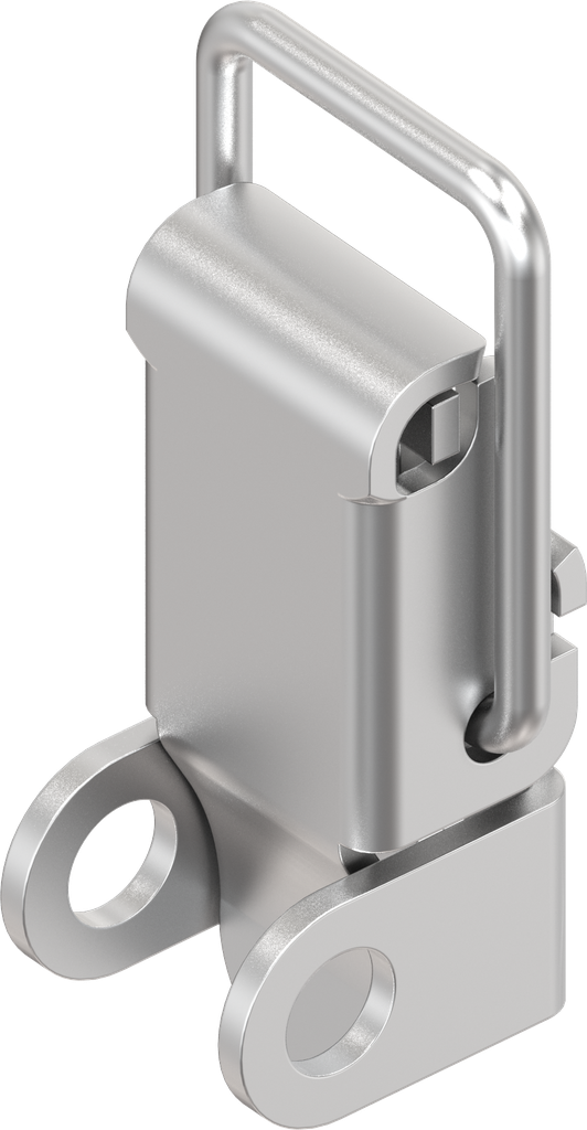 Spanslot met spanbeugel met oog voor hangslot, met montagegaten, RVS 304